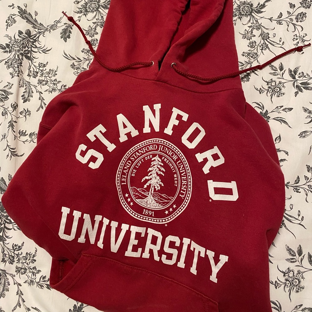 Champion hoodie